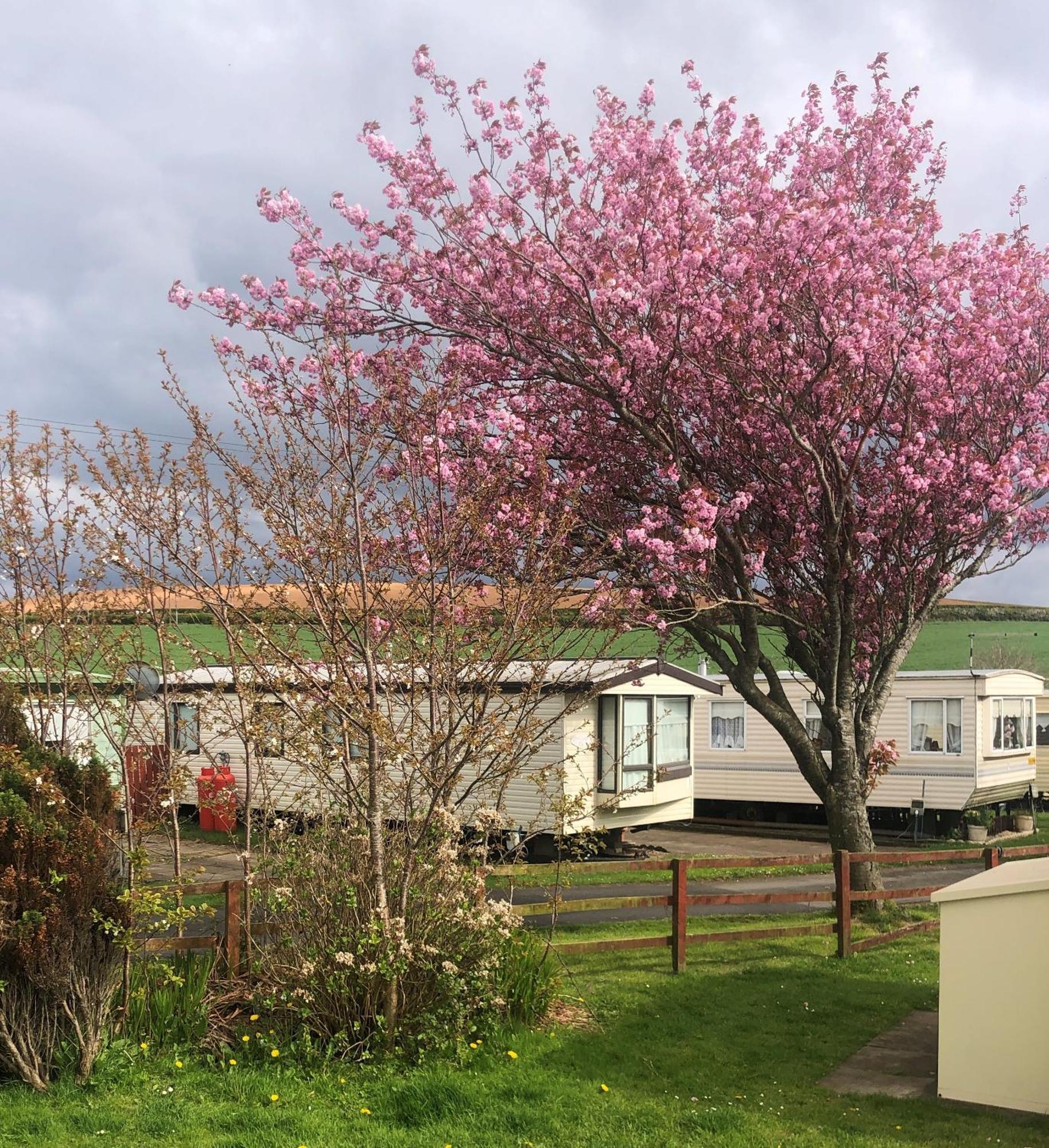 Turnberry Holiday Home Eksteriør billede